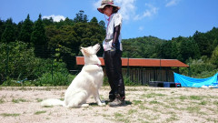 S_4461687504930.jpg