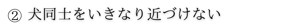 ②犬同士をいきなりちかづけない.png