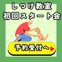 しつけ初回スタート会ボタン受付.png