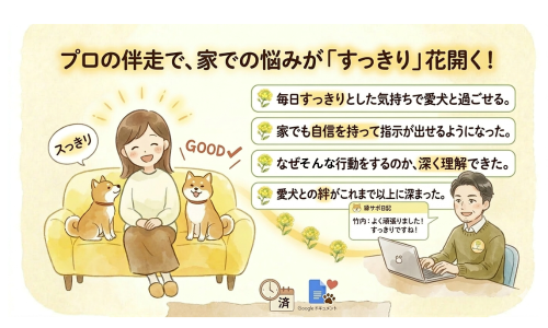 サポ日記　アフター画像 (1).png