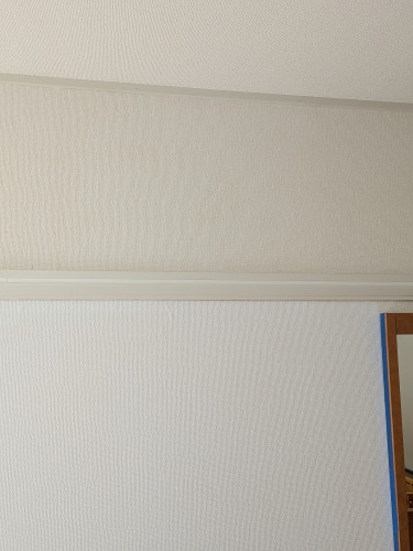 PXL_20250410_020542903.jpg
