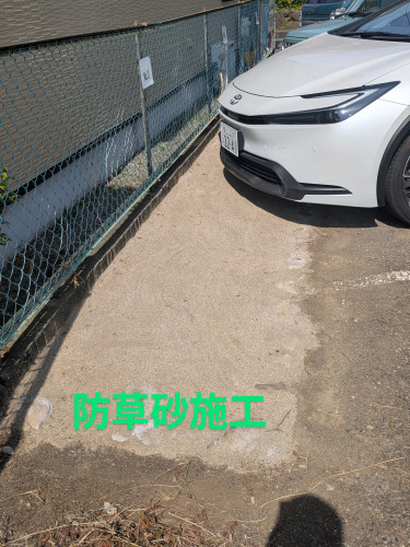 PXL_20250627_234041143~2.jpg