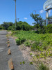 PXL_20250725_022554063.jpg
