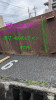 PXL_20260728_045830891.MP~5.jpg