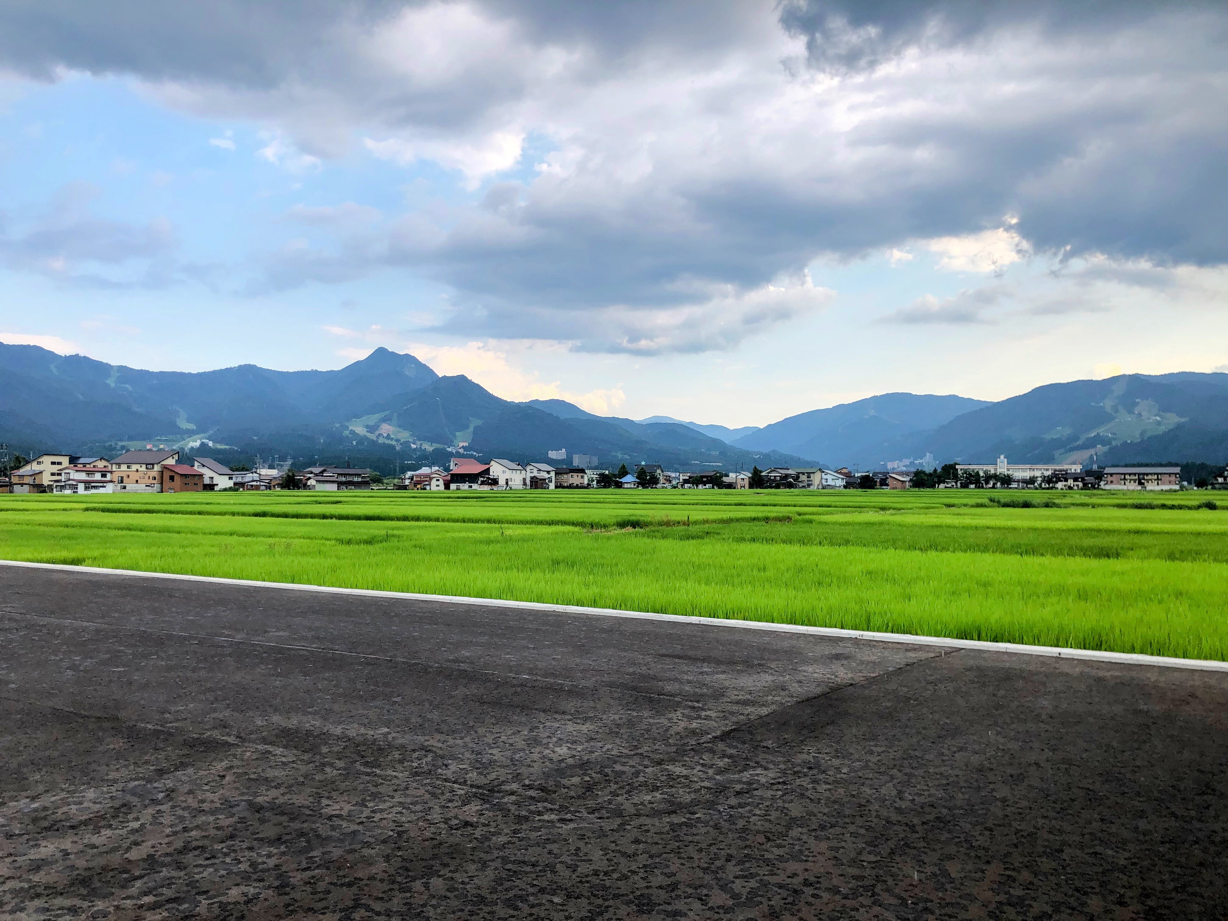 夏季休暇のお知らせ