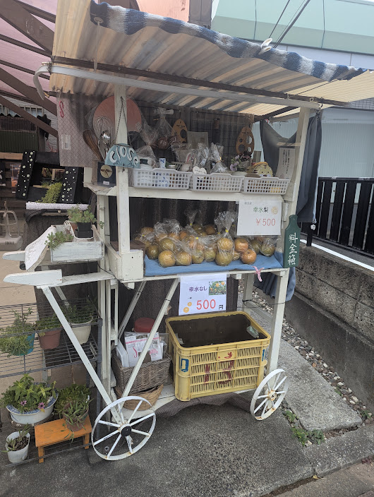 梨売り始まりました