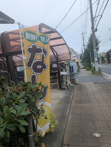 PXL_20260802_232727409.RAW-01.COVER.jpg