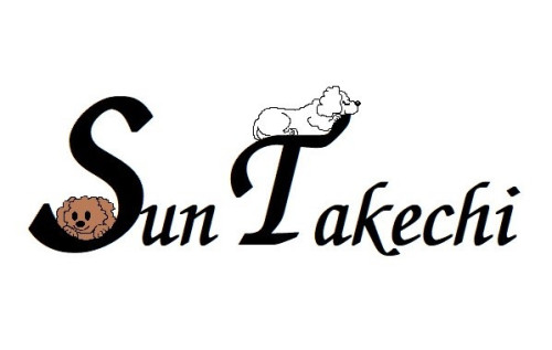 Sun Takechiロゴマーク.jpg