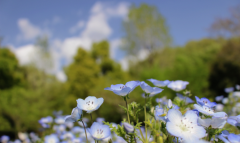 IMG_2676.PNG