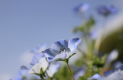 IMG_2678.PNG
