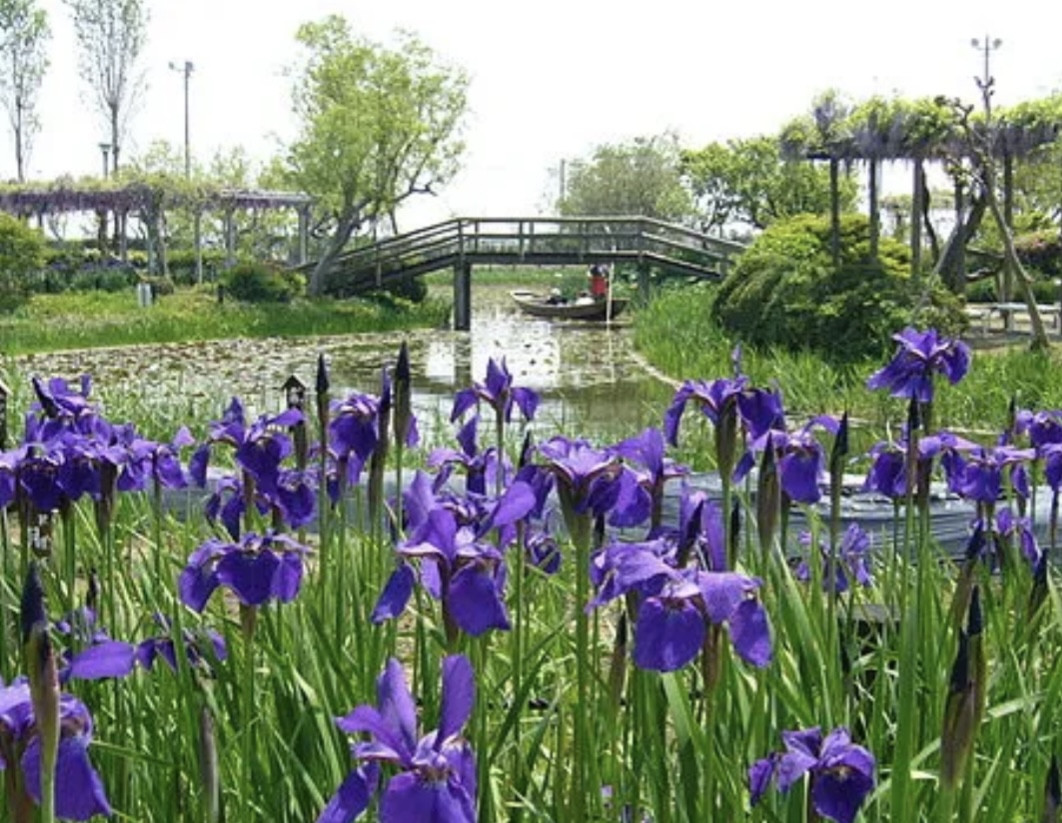 6月16日（月）〜18日（水）お休み頂きます。