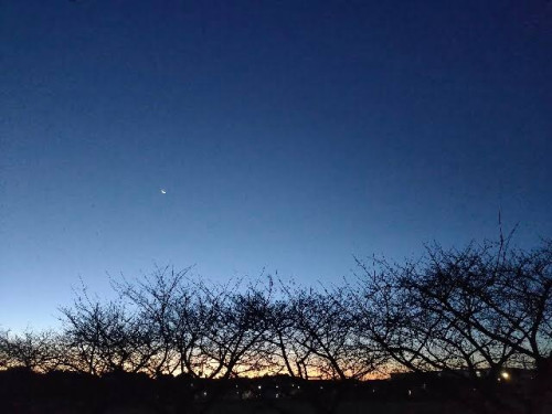 冬の空