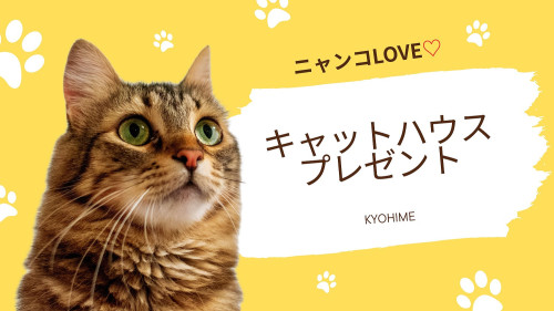 キャットハウスプレゼント.jpg