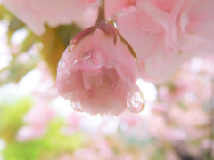 DSCN4001.jpg