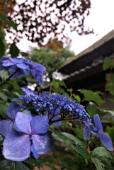 P1120359.jpg