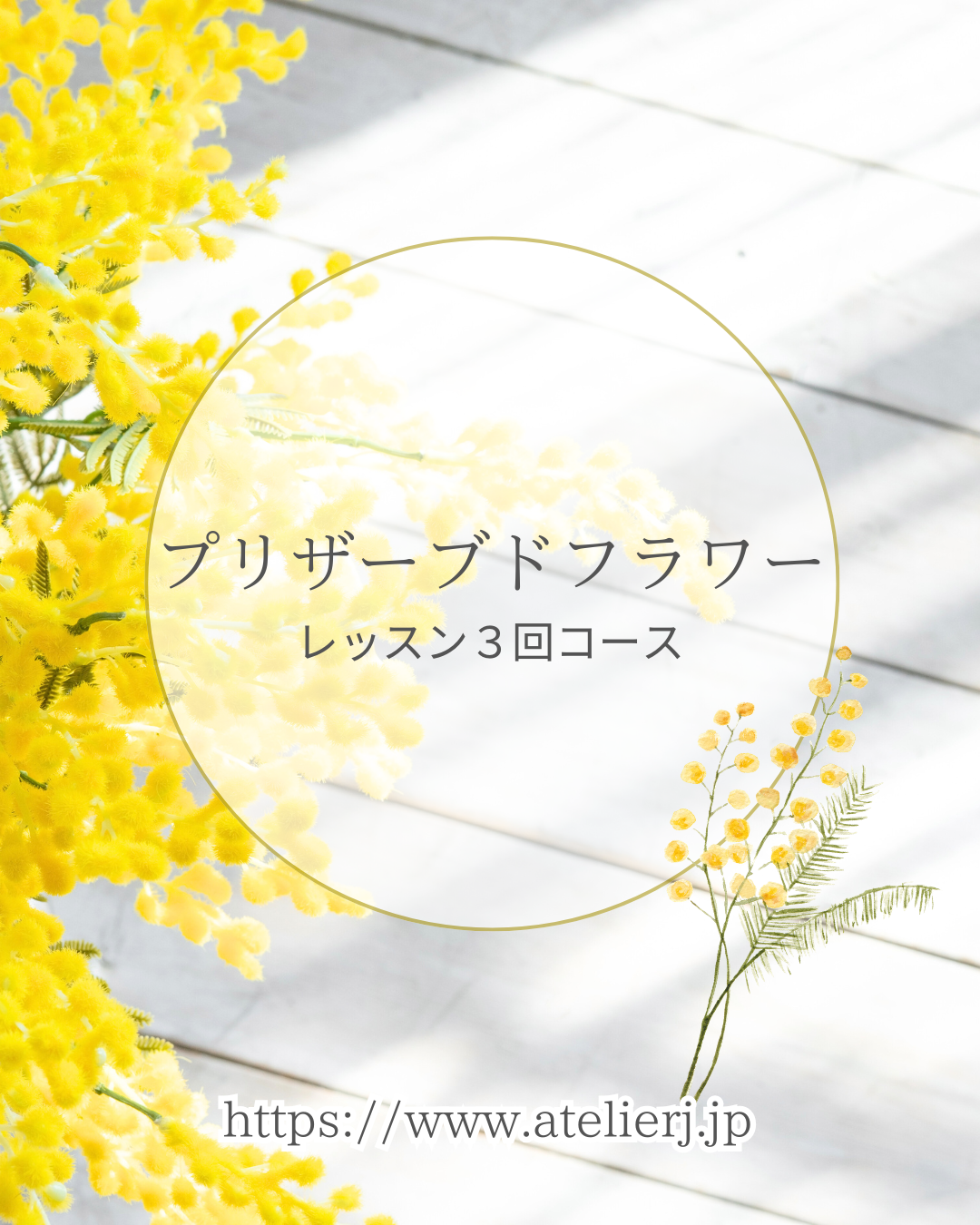 黄色 白 ナチュラル ミモザ お知らせ インスタグラム 投稿  (1).png