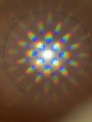 IMG_2593.jpeg