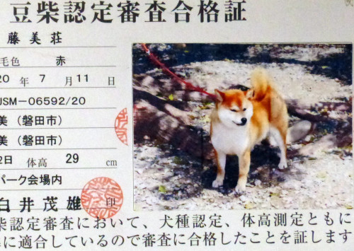 花蓮.jpg