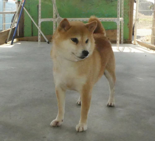 結夏3.jpg