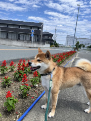 20250605-2.jpeg