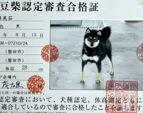 認定証.jpg