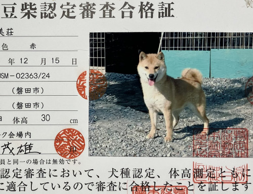 認定証.jpg