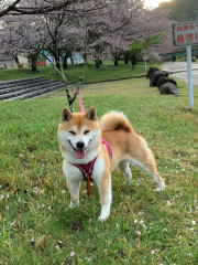 20260406-1.jpg