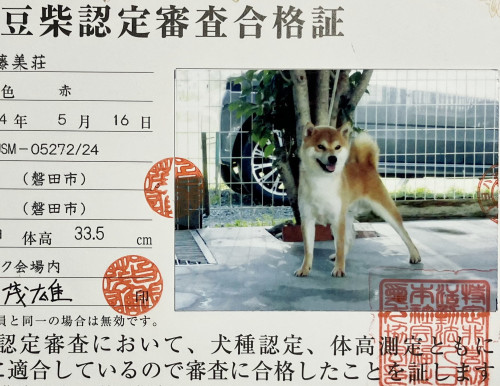 陽太郎.jpg