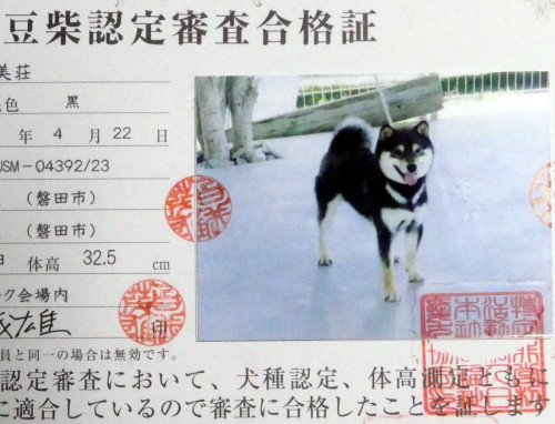 玄太認定証.jpg