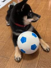 20260903-1.jpeg