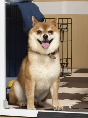 20260903-3.jpeg