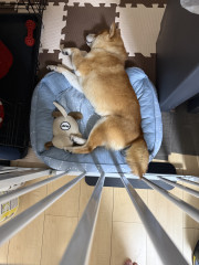 20260903-5.jpeg