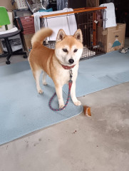 20260907-1.jpeg