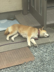 20260907-2.jpeg