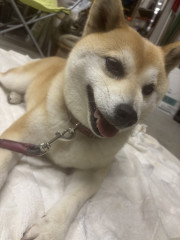 20260907-4.jpeg