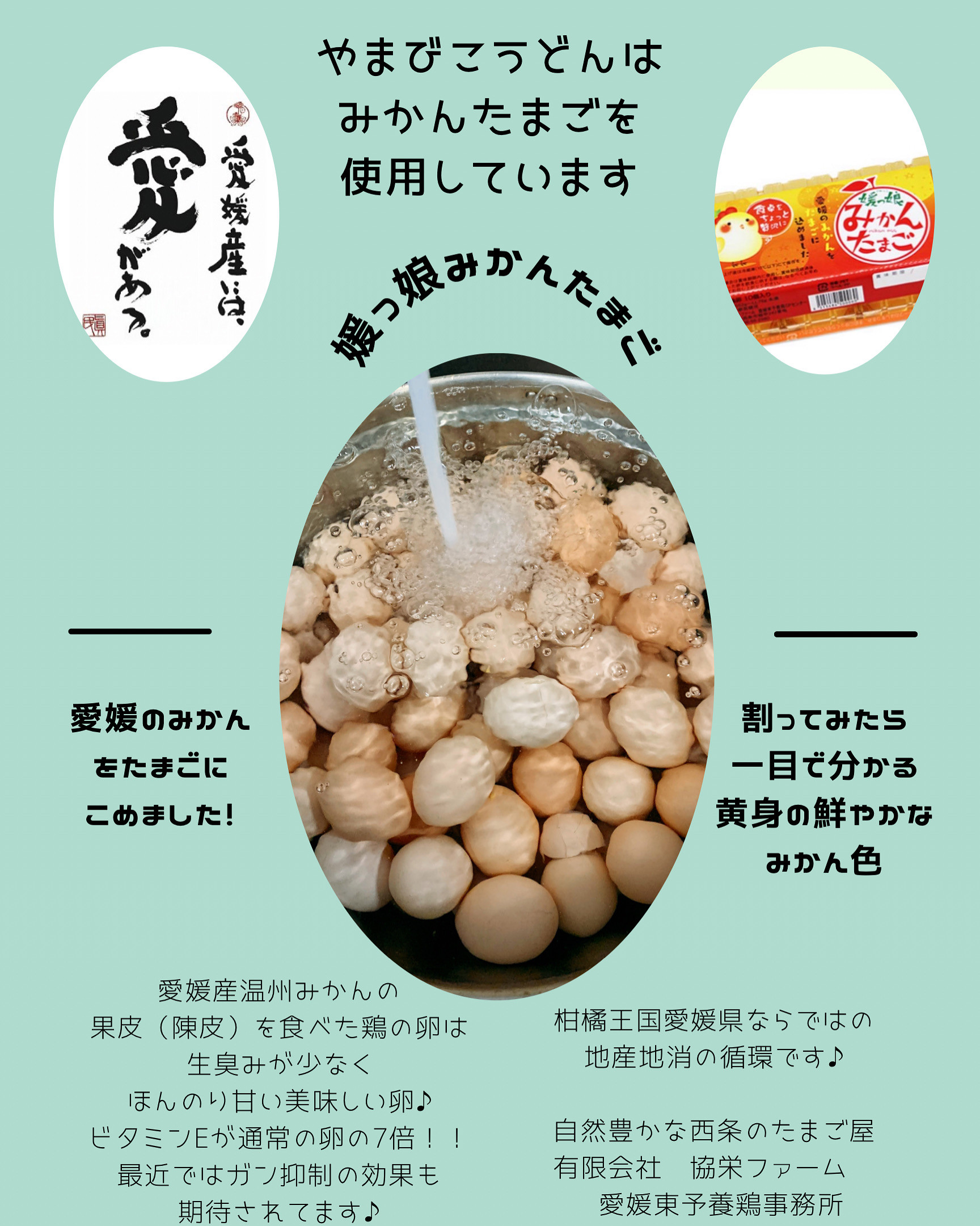 媛っ娘みかんたまご