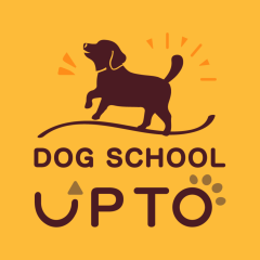 Dog school あっぷとぅ