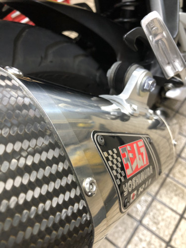 IMG_3769.jpeg