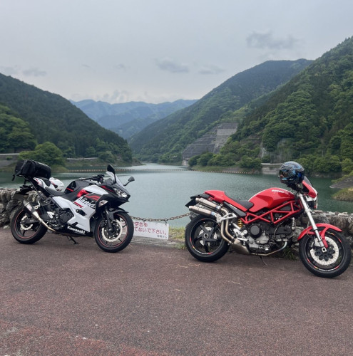 IMG_2546.jpeg