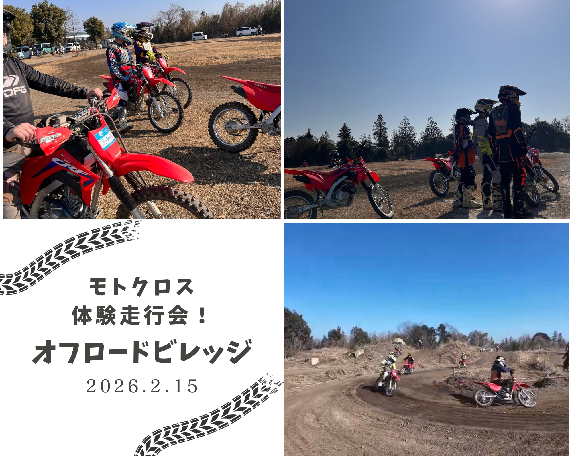 緑 自然 写真 本 コラージュ.png