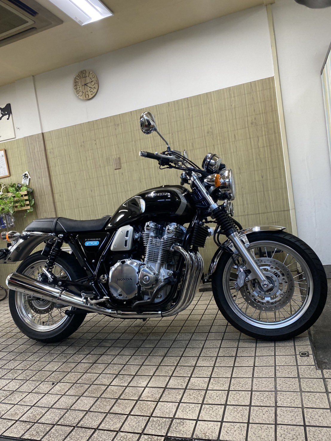 IMG_4438.jpeg