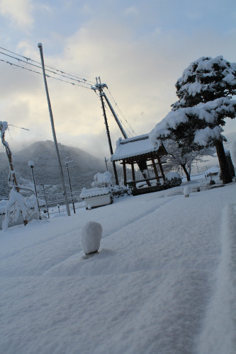 IMG_9799.png