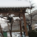 AD111F05-930D-48EF-AC2C-02CCCC95CC13.jpeg