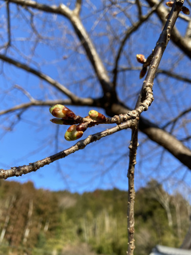 44101F8B-EB41-4D4D-869E-B6C442551947.jpeg