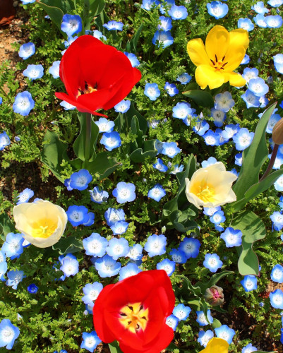 5D965EDD-4F34-48A7-AD73-55B8FCCF5CA1.jpeg