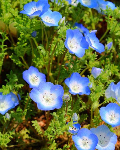 4C77404A-B0CB-4714-9DE9-0D2376CDF834.jpeg