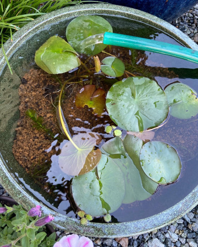 10B63844-78D8-461E-8E7D-CA2A41F0007D.jpeg