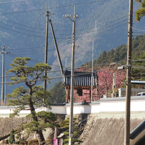 45A2C4AE-467A-42AE-8B7C-103D005F1715.jpeg