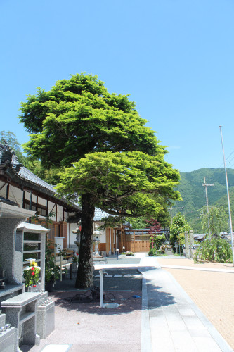 69CF57CF-1D1C-4611-86DD-9CB139D38D24.jpeg