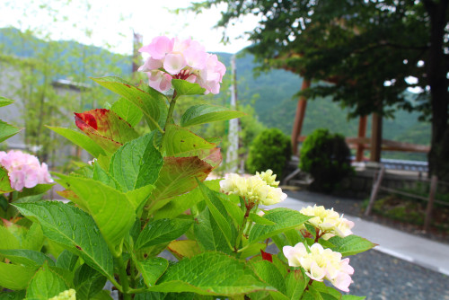 68EB1E35-6C86-4C48-83AB-6378D5DFBCE1.jpeg